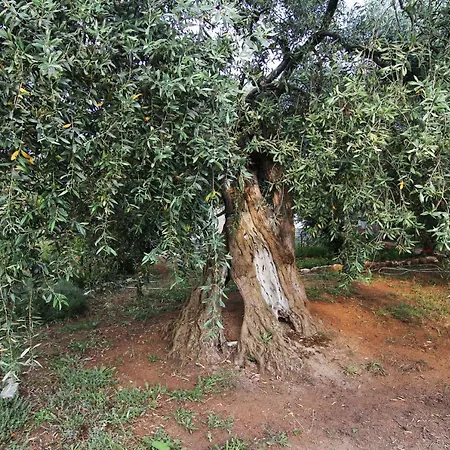 וילה Relax Skála Kallirákhis