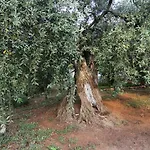 Βίλα Relax Σκάλα Καλλιράχης