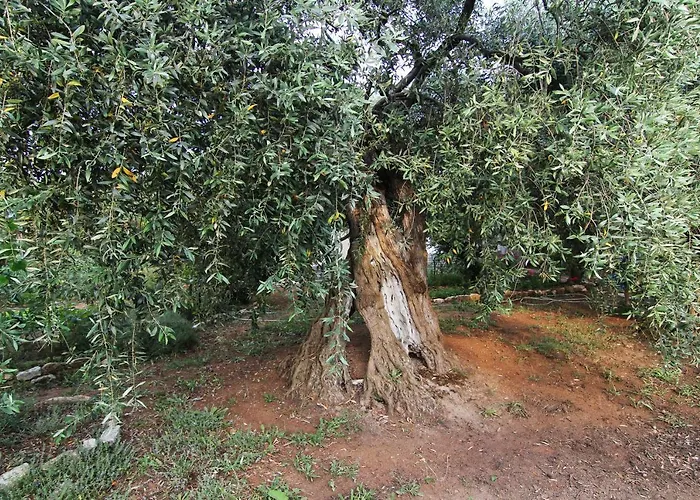 Βίλα Relax Σκάλα Καλλιράχης